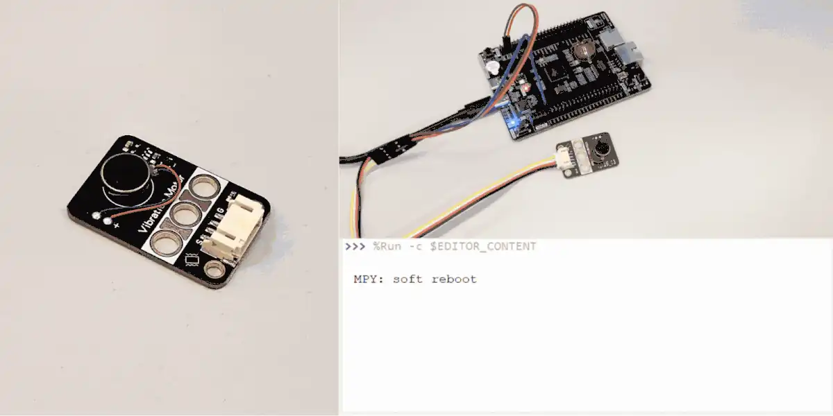 Vibration motor module test